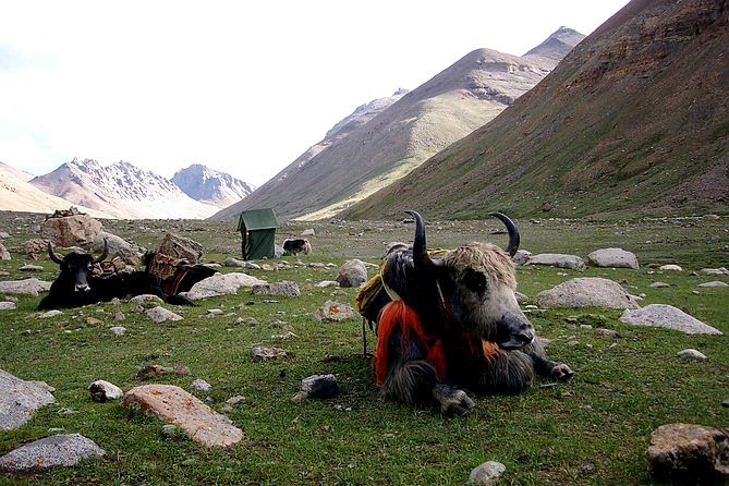Tibet
