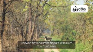 Chitwan National Park: Nepal’s Wild Gem